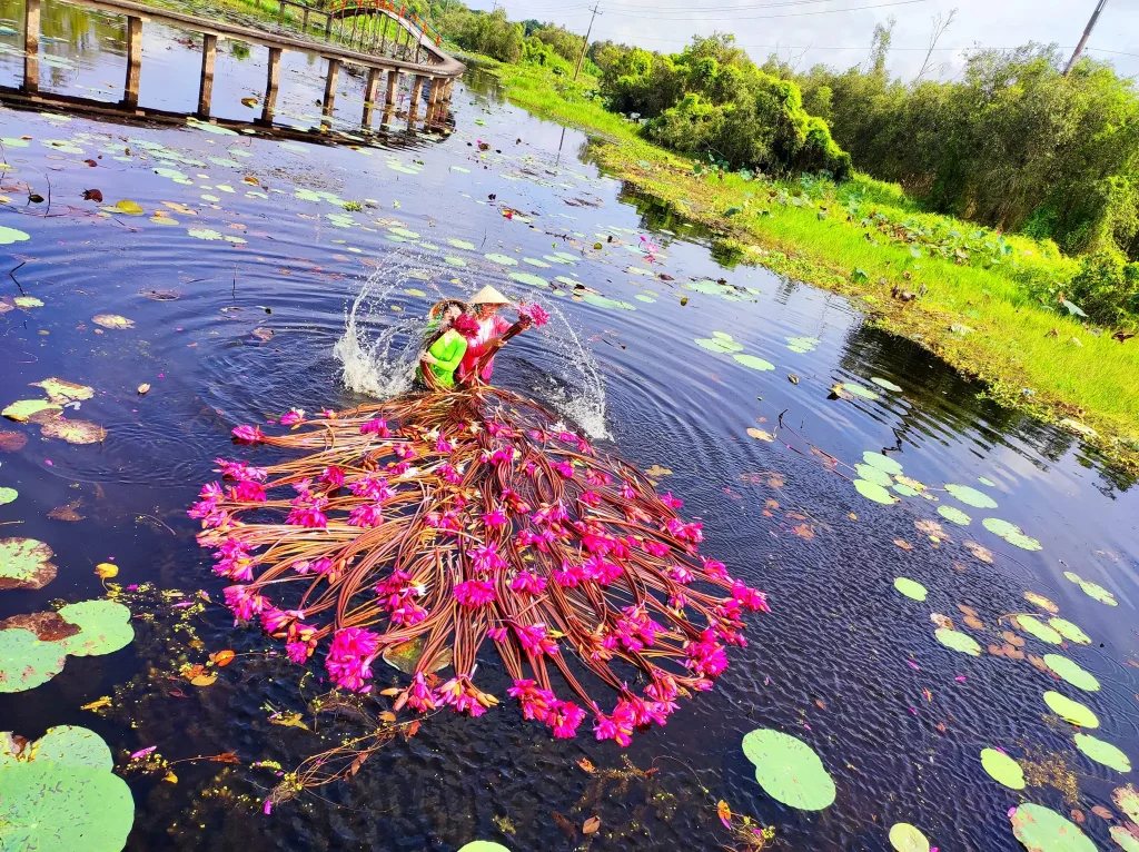 Những Địa Điểm Cực Chill Gần Sài Gòn Trong Dịp Lễ 30/4 - 1/5, Làng Nổi Tân Lập - Long An